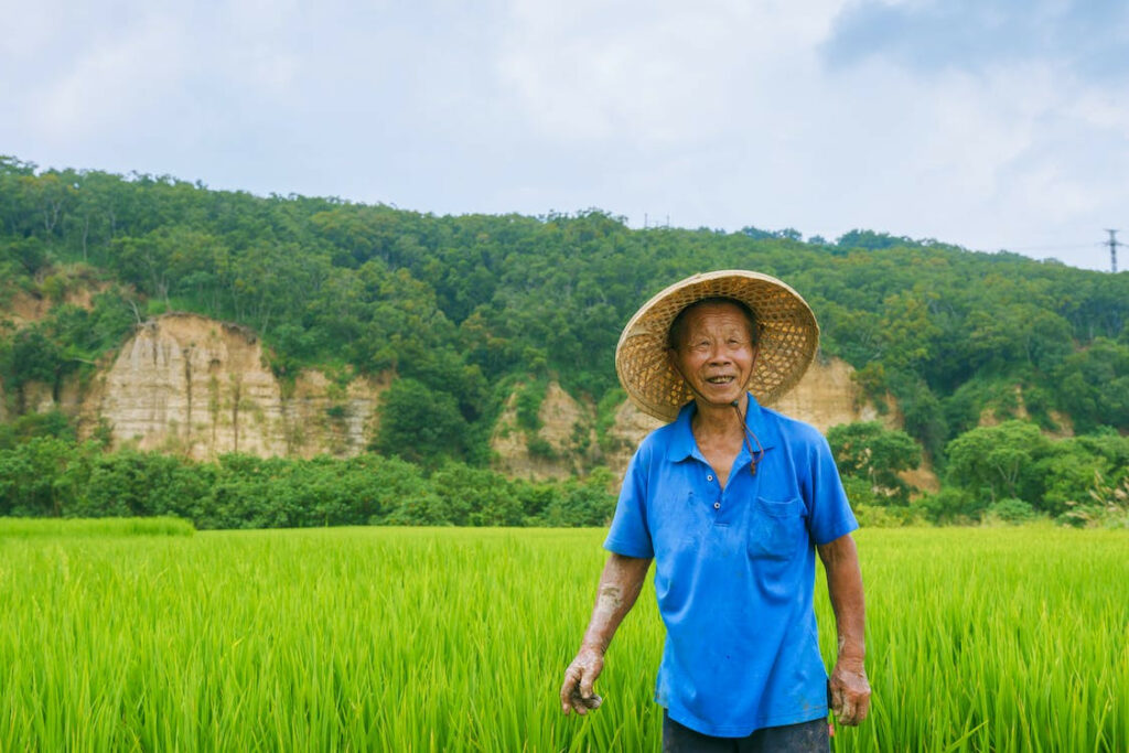 Thủ tục xác nhận lại thời hạn sử dụng đất nông nghiệp tại Bắc Ninh